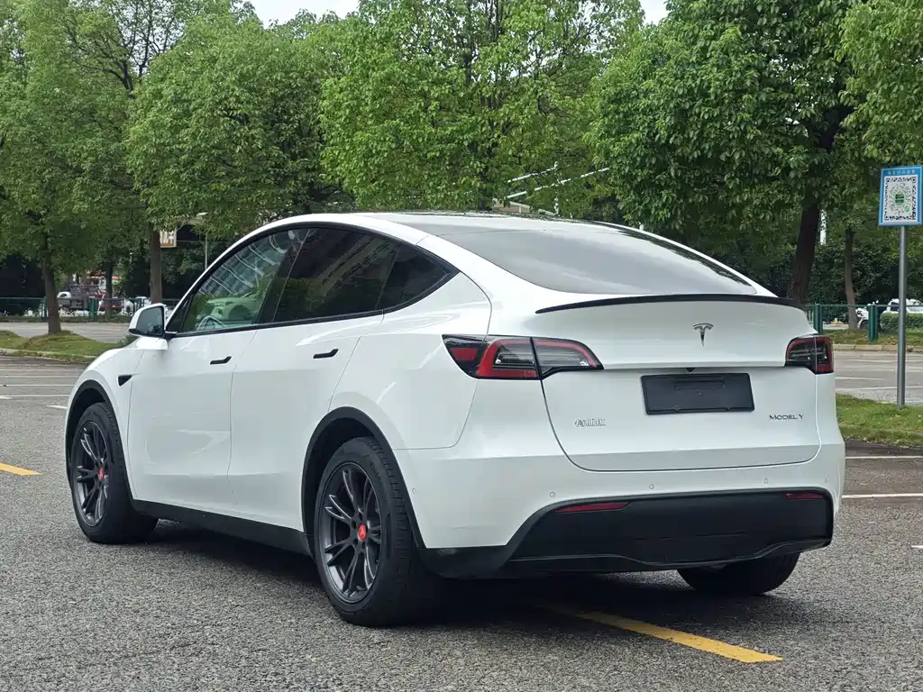 Tesla Model Y — фото 6