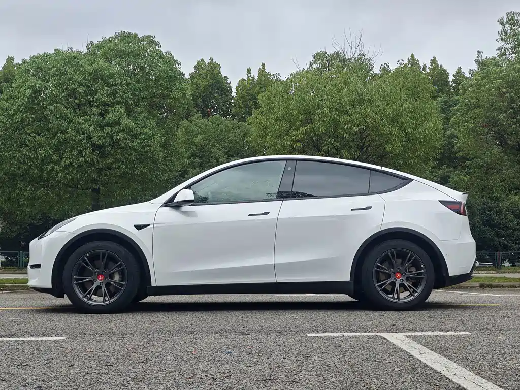 Tesla Model Y — фото 7