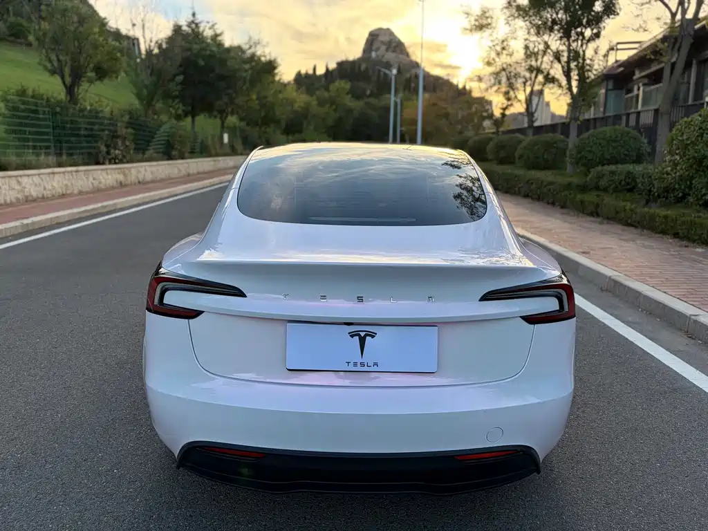 Tesla Model 3 — фото 6