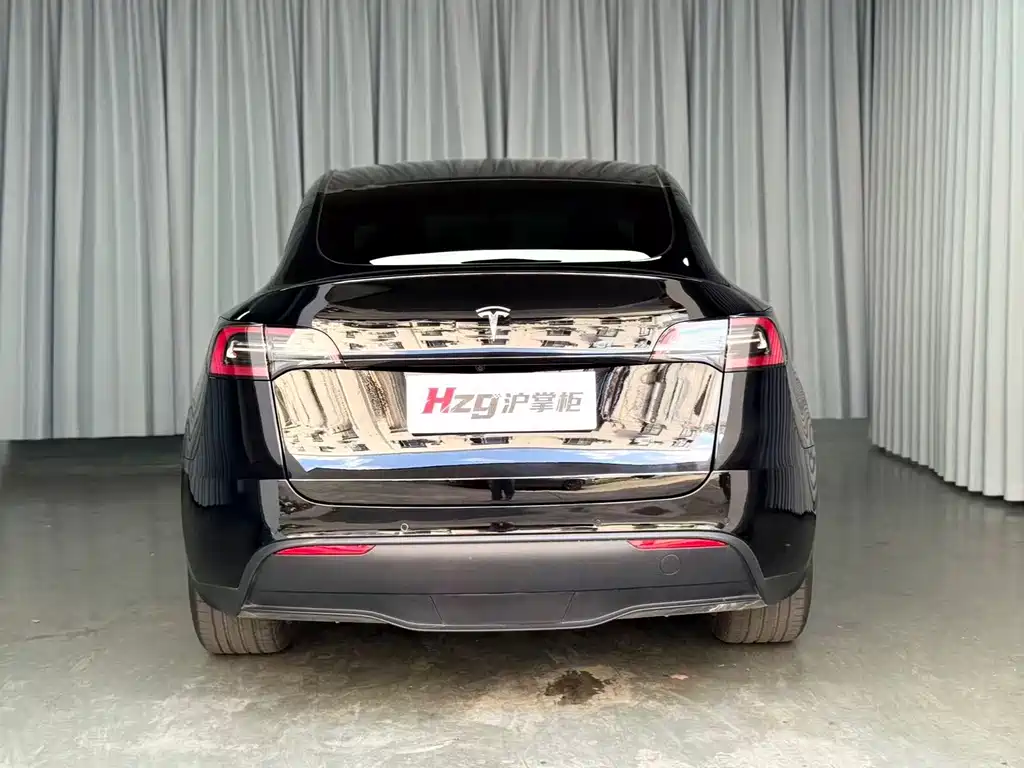 Tesla Model Y — фото 8