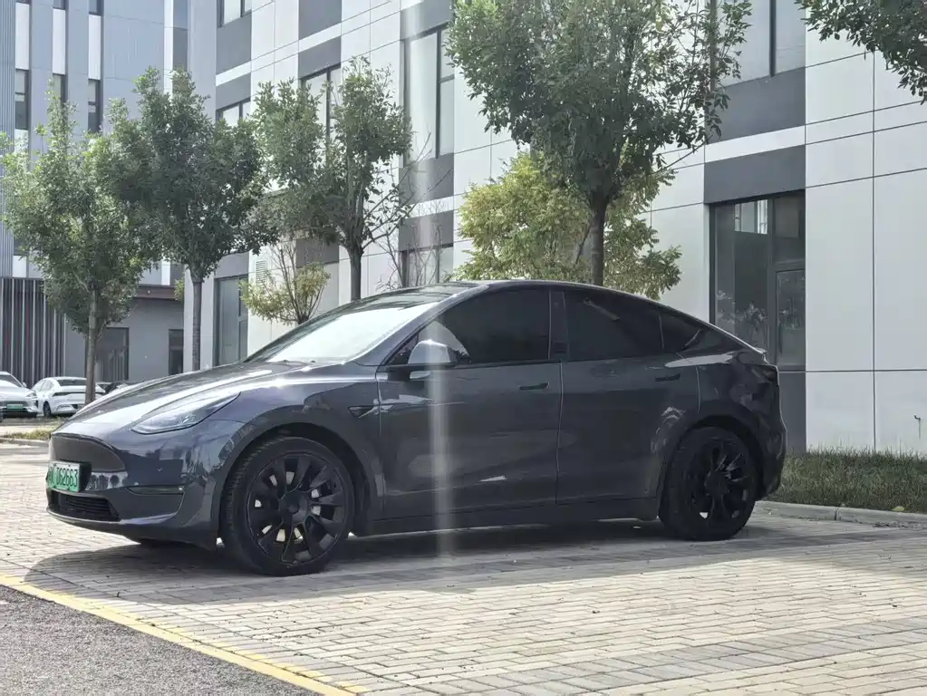 Tesla Model Y — фото 3
