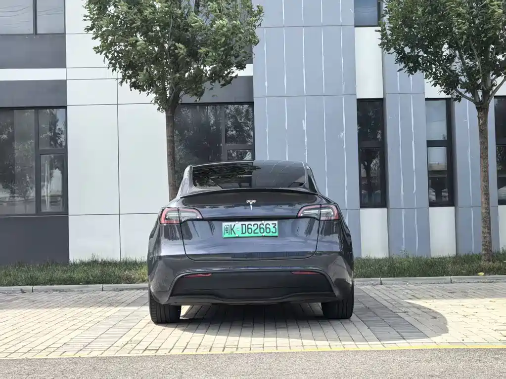 Tesla Model Y — фото 8