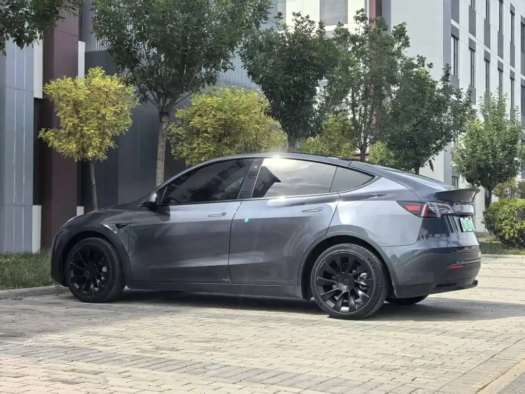 Tesla Model Y — фото 9
