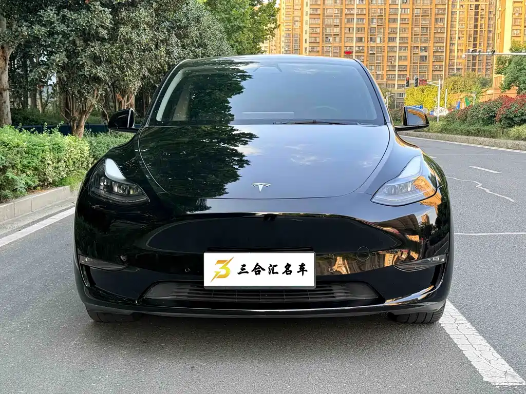 Tesla Model Y — фото 2