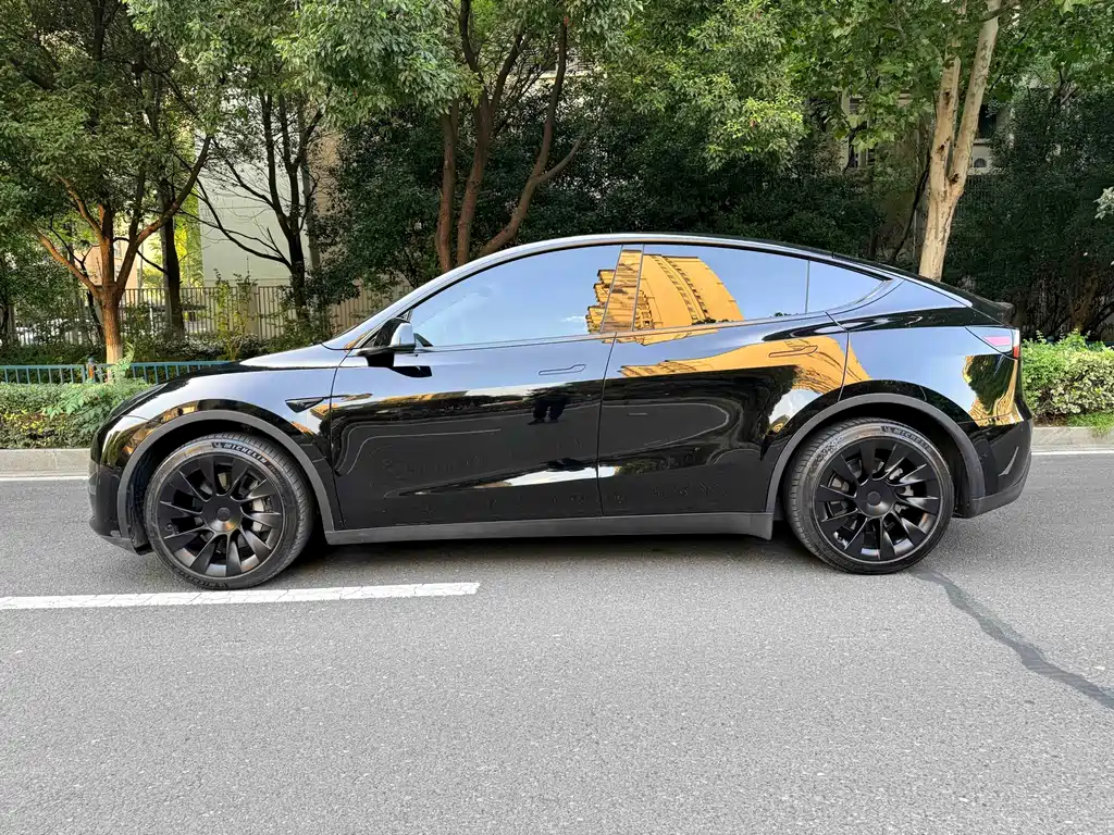 Tesla Model Y — фото 5