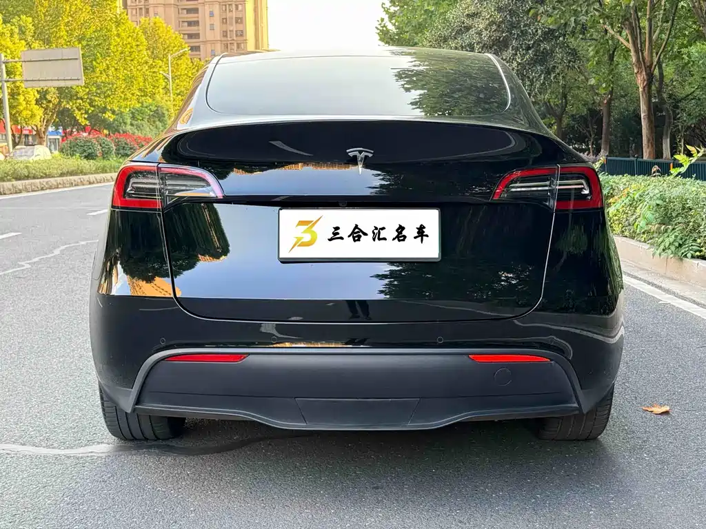 Tesla Model Y — фото 9