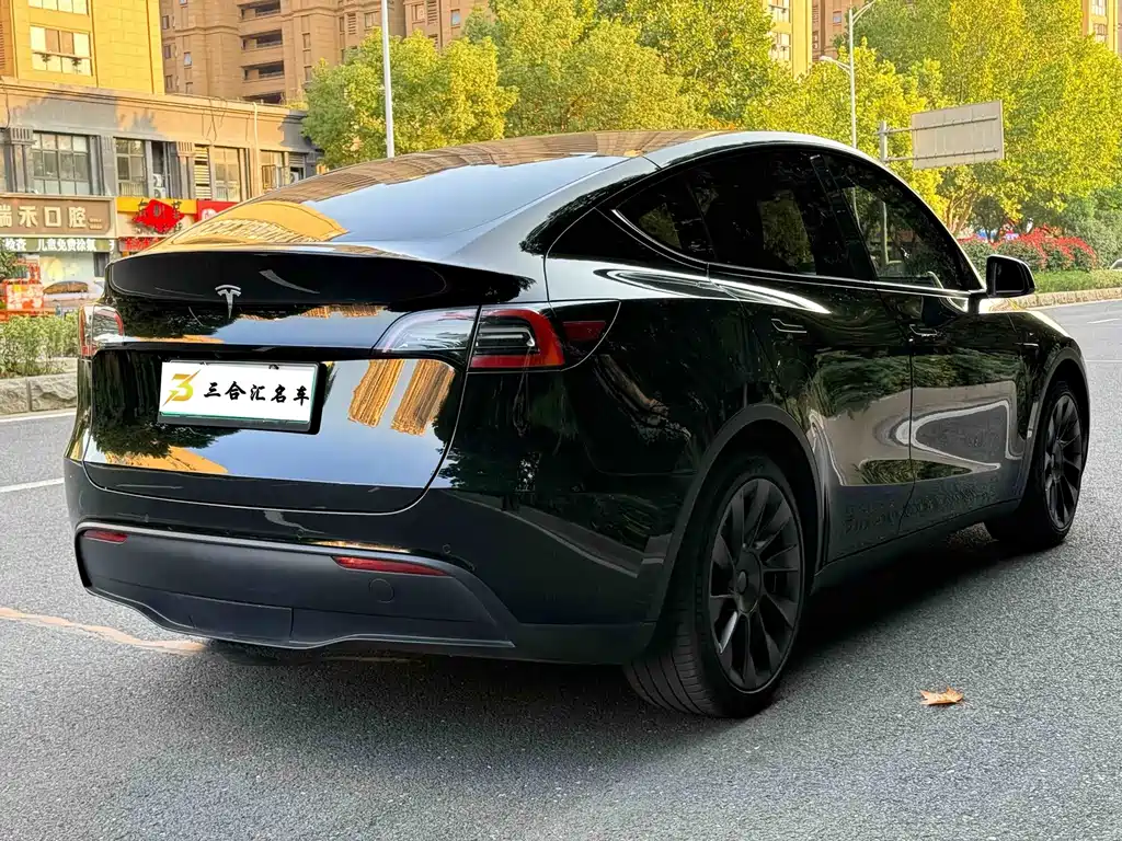Tesla Model Y — фото 10