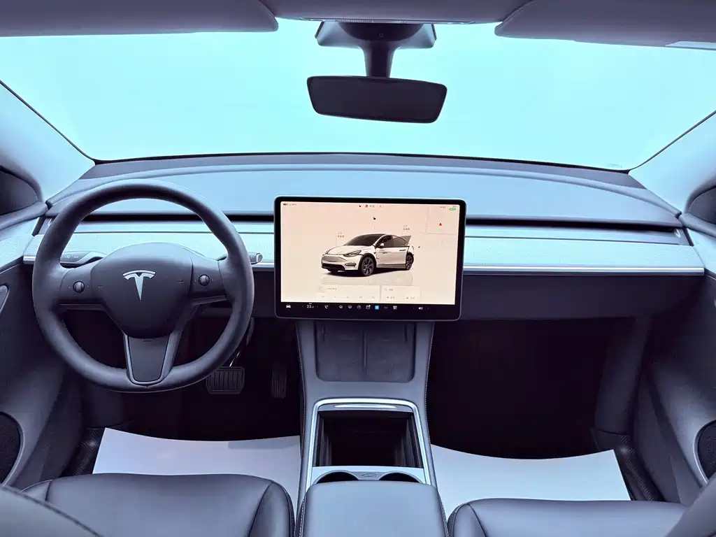 Tesla Model Y — фото 14