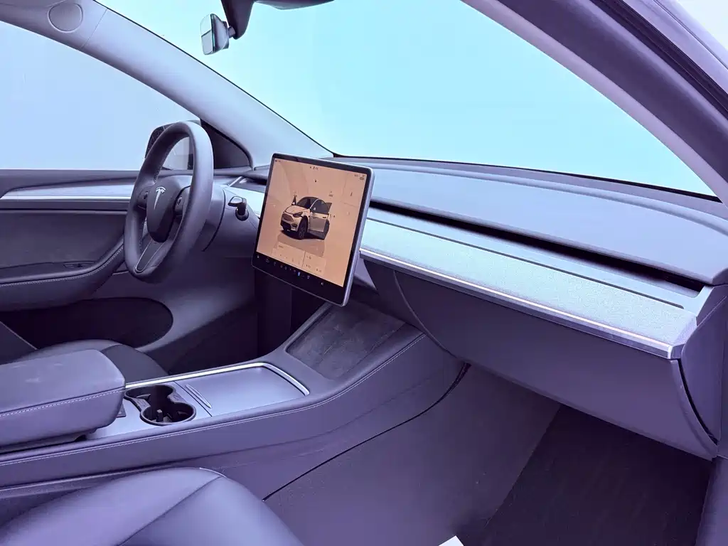 Tesla Model Y — фото 20