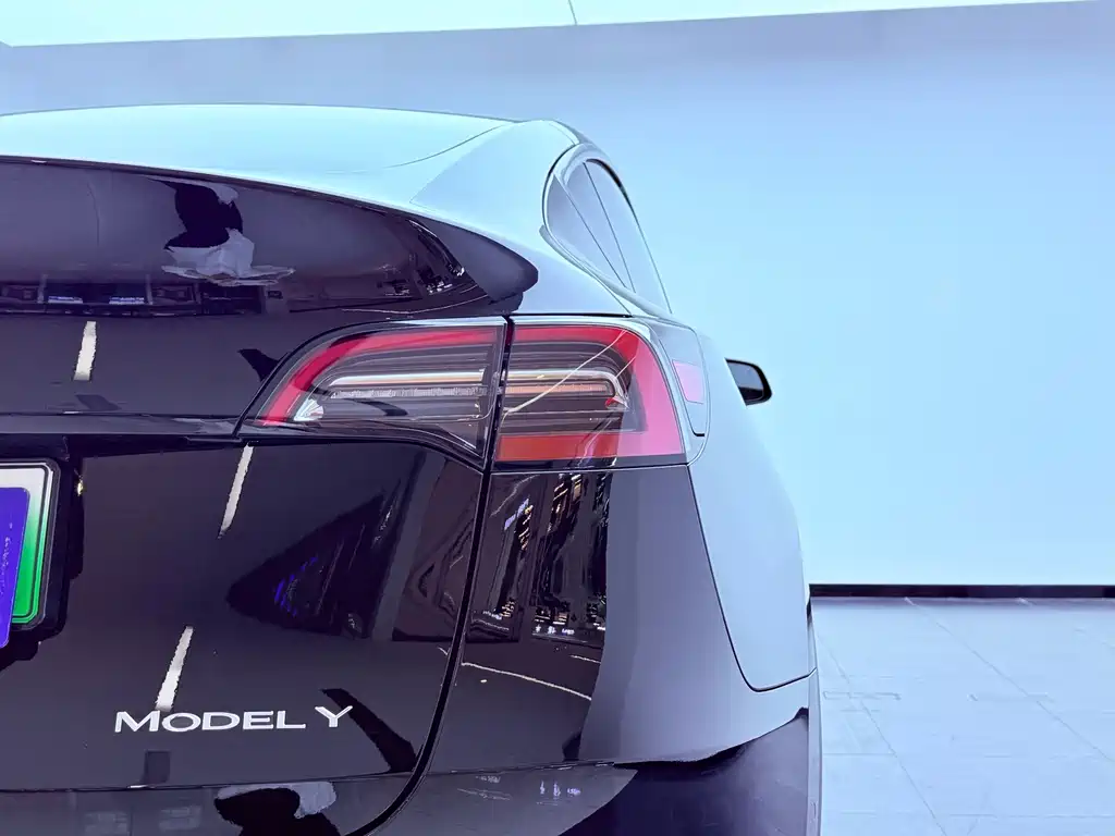 Tesla Model Y — фото 23