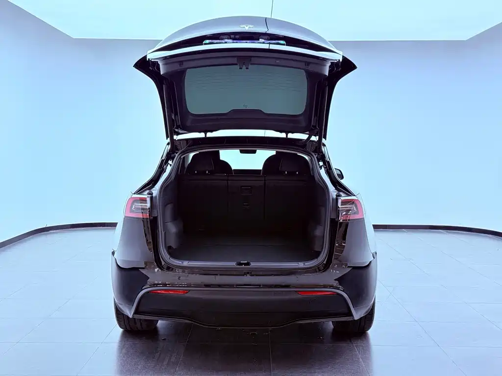 Tesla Model Y — фото 24