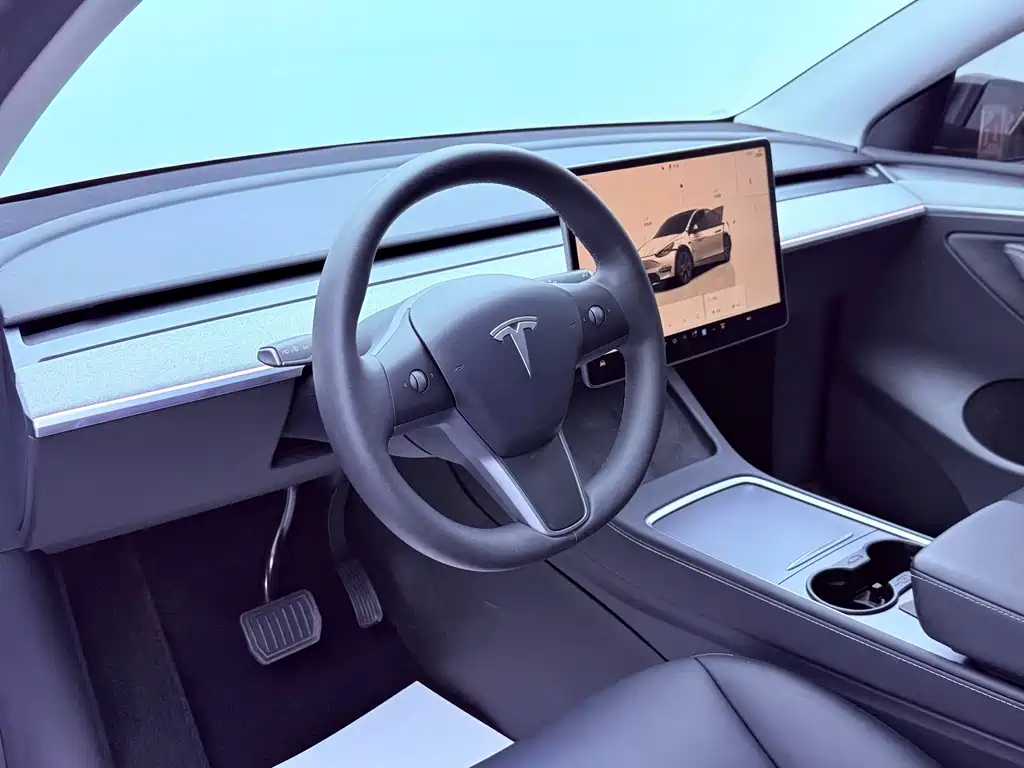 Tesla Model Y — фото 10