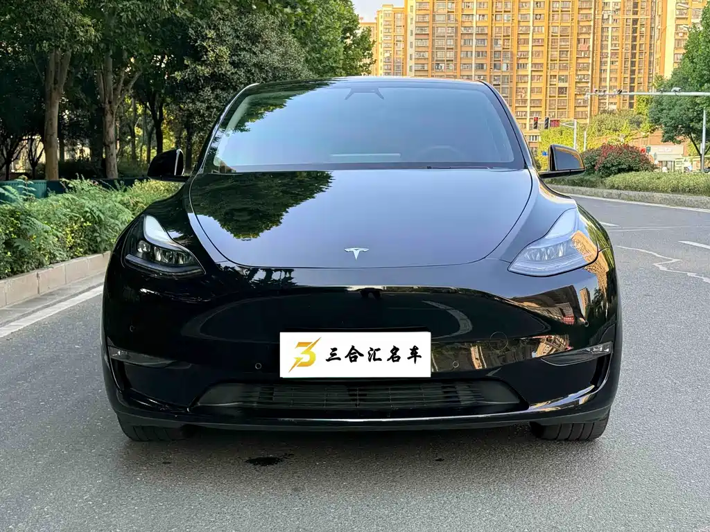 Tesla Model Y — фото 2