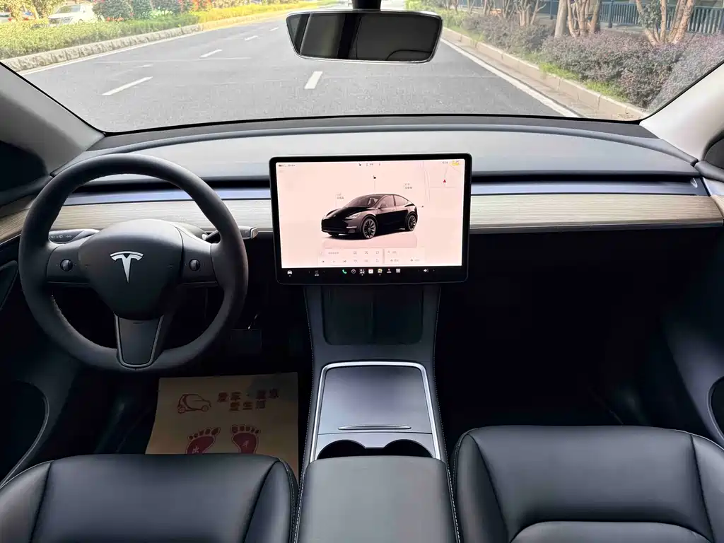 Tesla Model Y — фото 13
