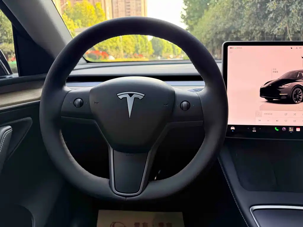 Tesla Model Y — фото 14