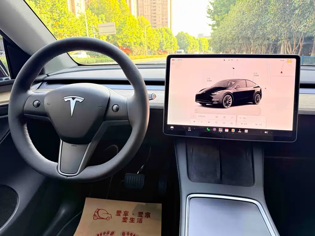 Tesla Model Y — фото 15