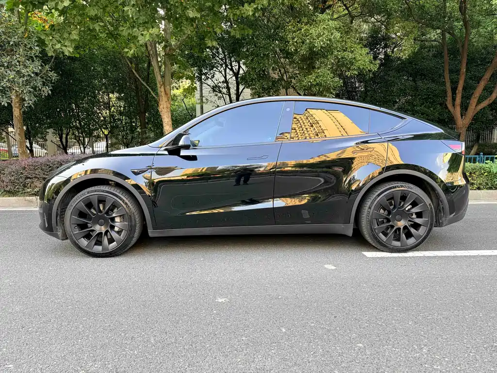 Tesla Model Y — фото 5