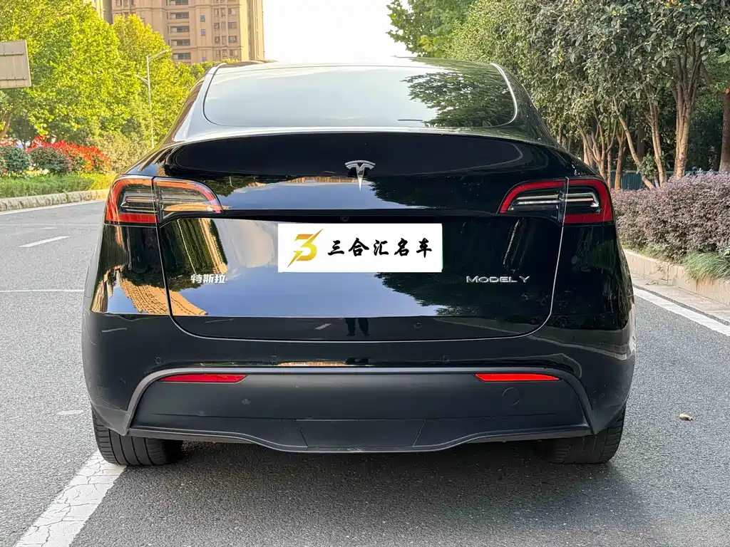 Tesla Model Y — фото 9