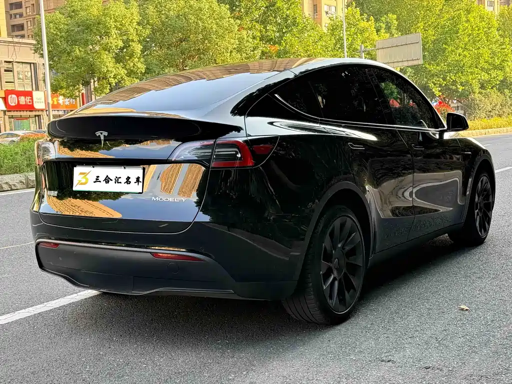 Tesla Model Y — фото 10