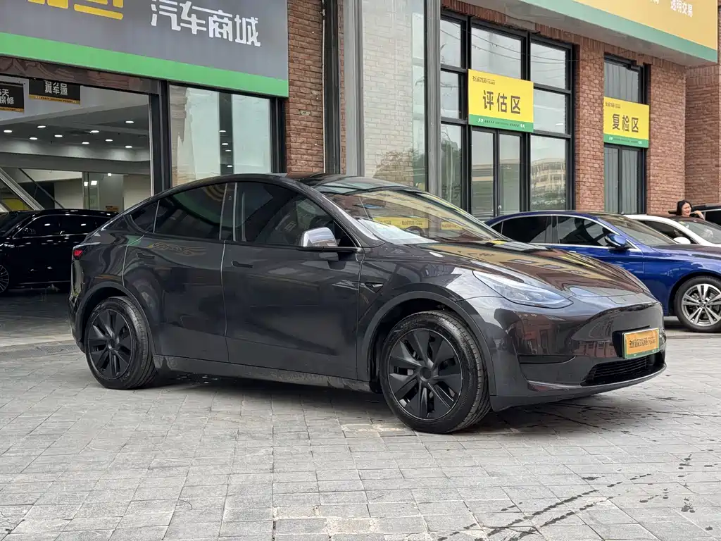 Tesla Model Y — фото 3