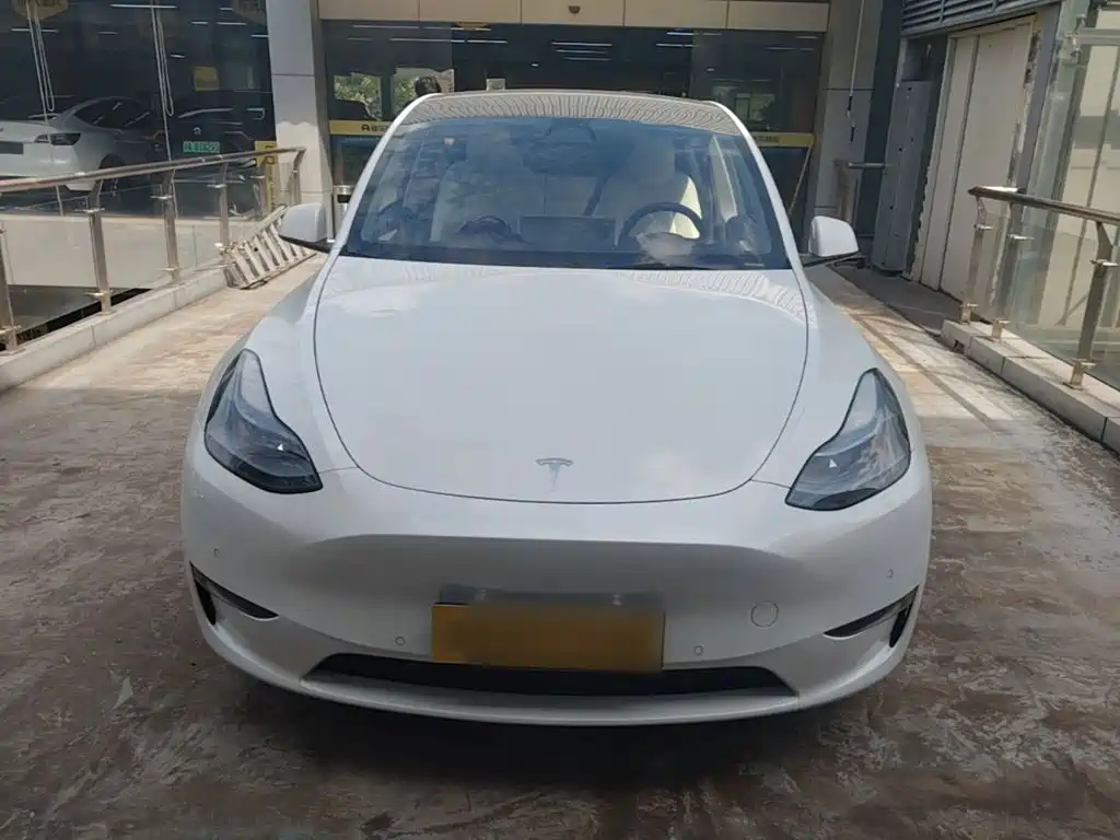 Tesla Model Y — фото 3