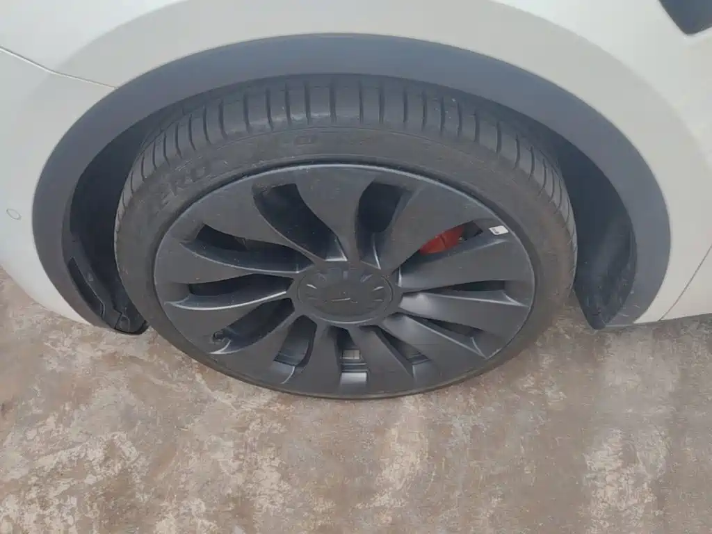 Tesla Model Y — фото 23