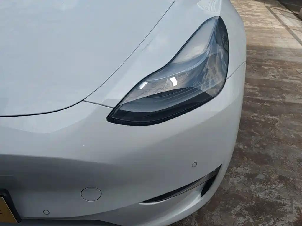 Tesla Model Y — фото 24