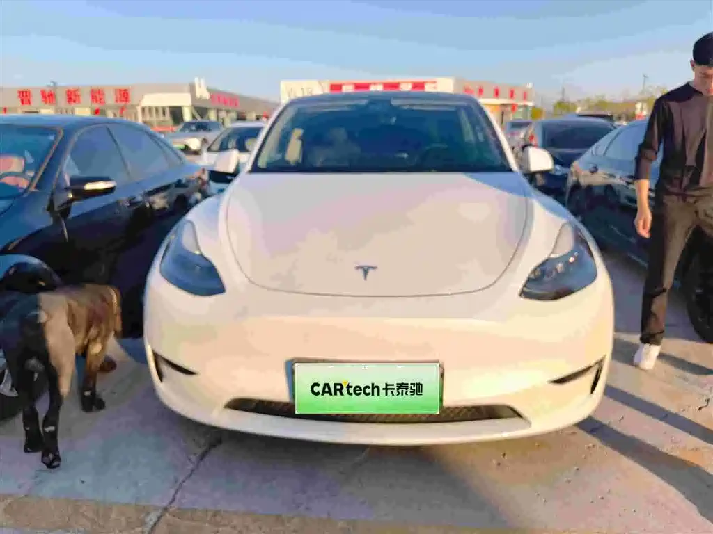 Tesla Model Y — фото 4