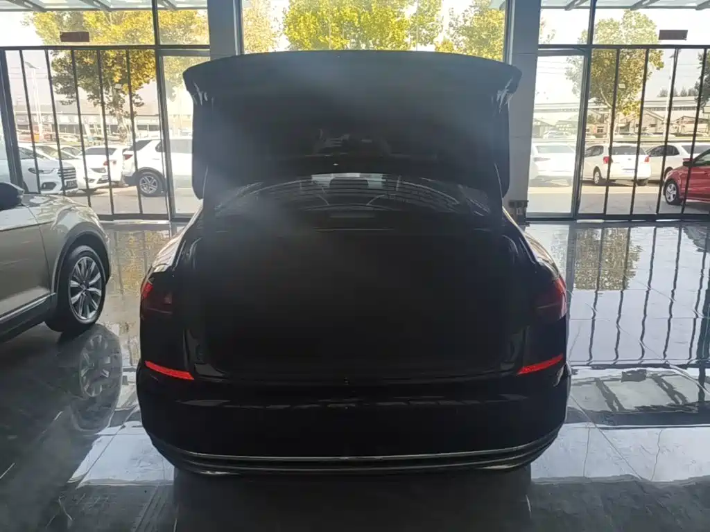 Volkswagen Passat — фото 19