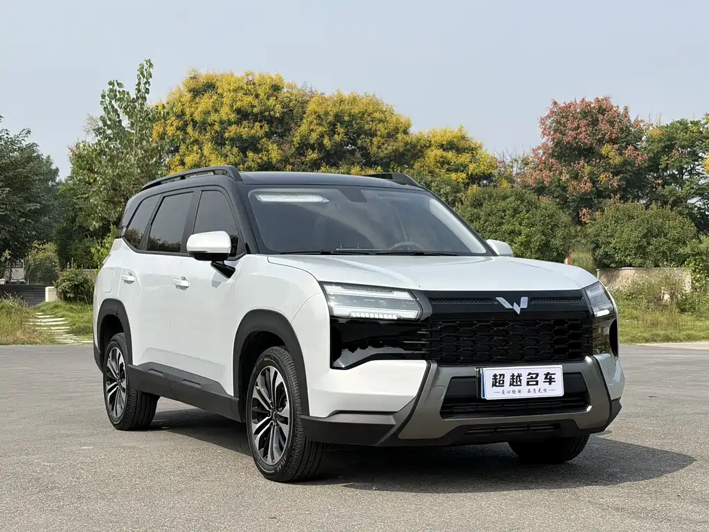 Wuling Xingguang 560 — фото 3