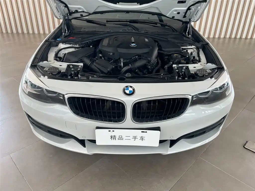 BMW 3 Series GT — фото 13