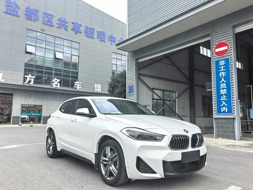 BMW X2 — фото 10