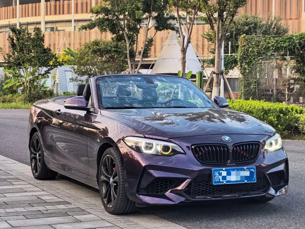 BMW 2 Series (Import) — фото 3