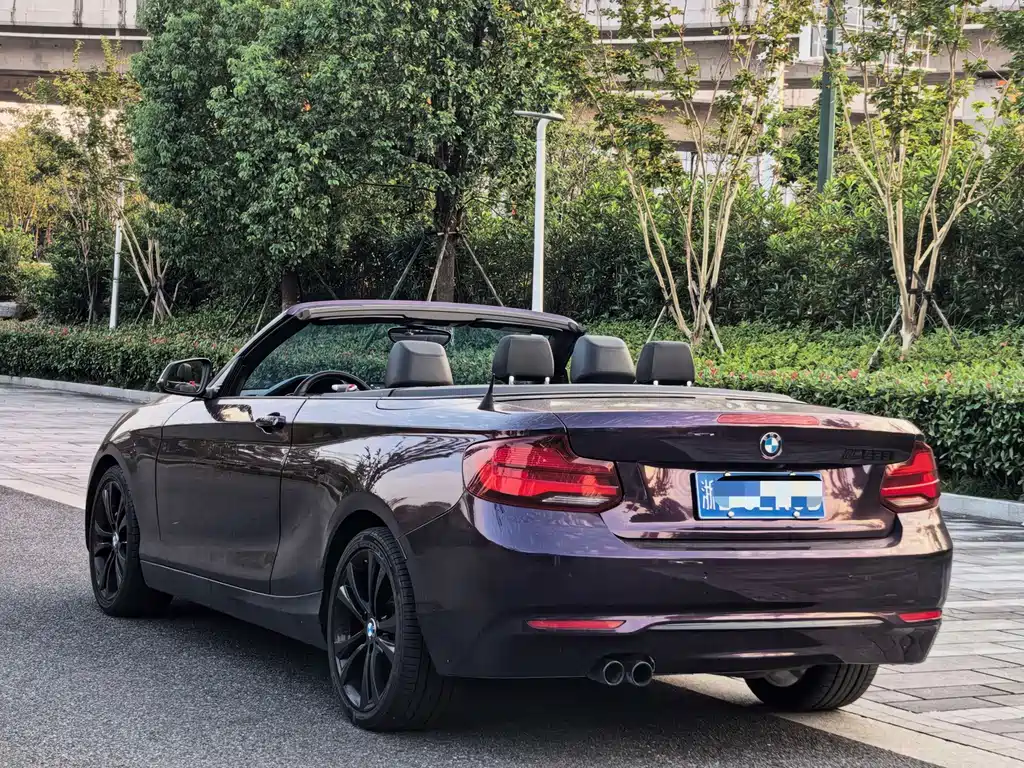 BMW 2 Series (Import) — фото 4