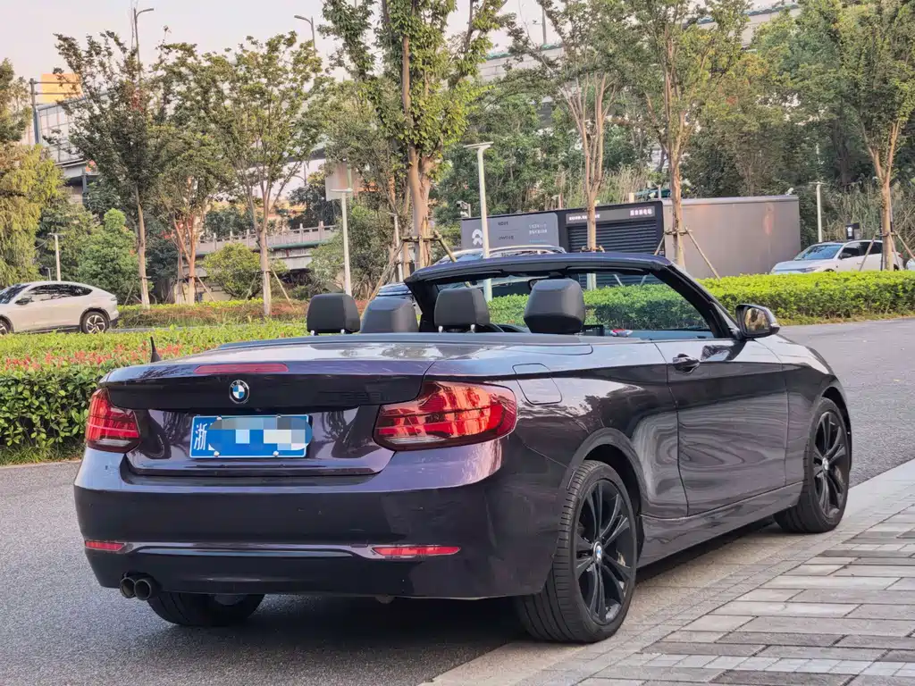 BMW 2 Series (Import) — фото 6