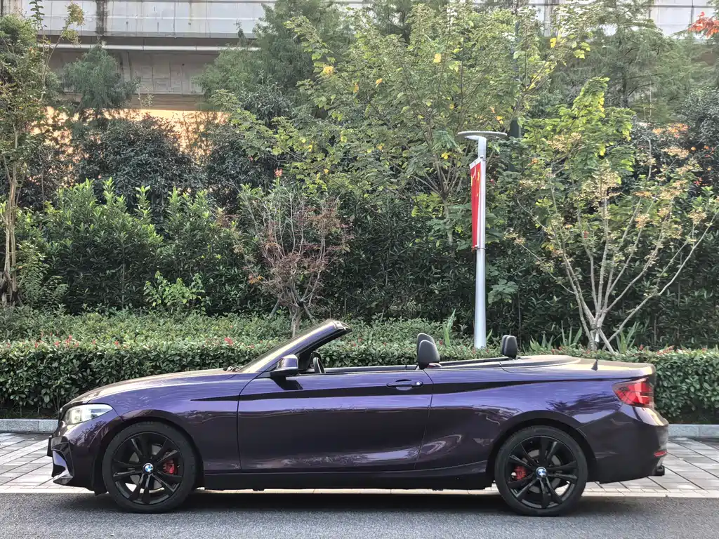 BMW 2 Series (Import) — фото 7