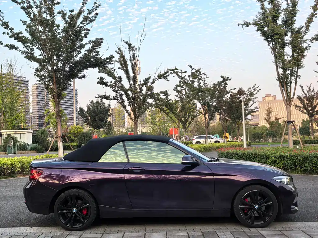 BMW 2 Series (Import) — фото 8