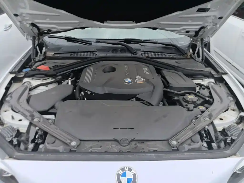 BMW 2 Series (Import) — фото 20
