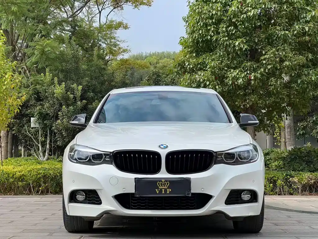 BMW 3 Series GT — фото 2
