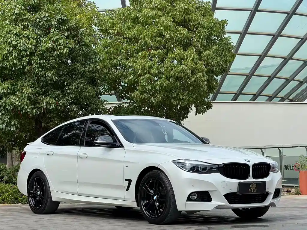 BMW 3 Series GT — фото 3