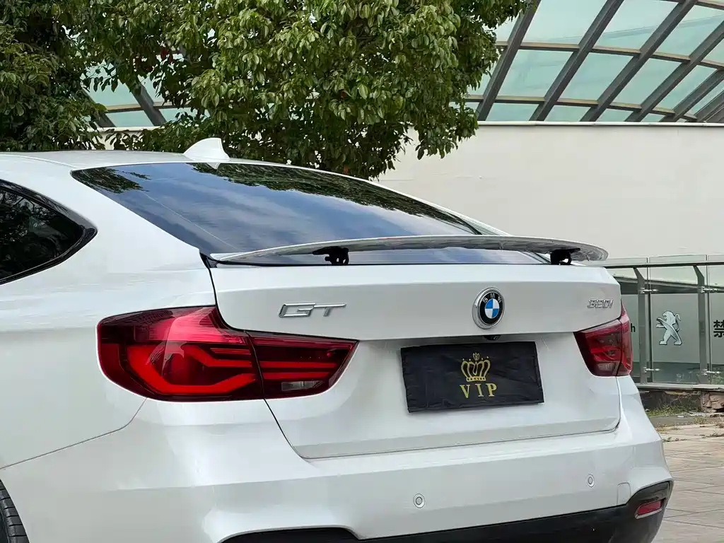 BMW 3 Series GT — фото 30