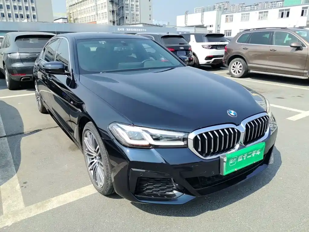 BMW 5 Series New Energy — фото 4