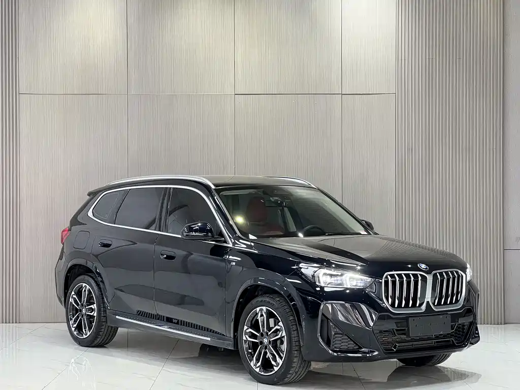 BMW X1 — фото 3