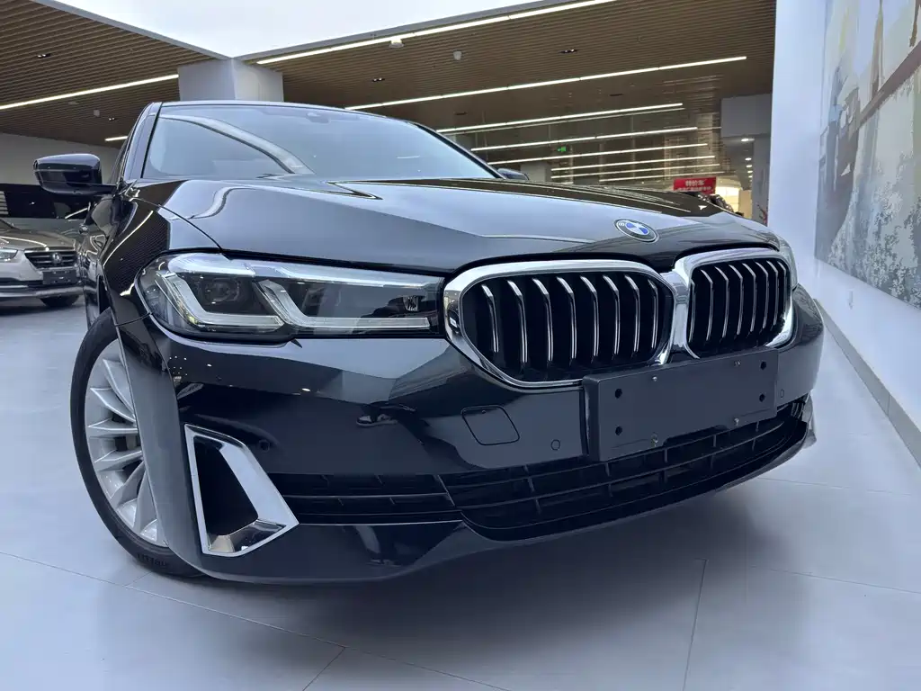 BMW 5 Series New Energy — фото 5