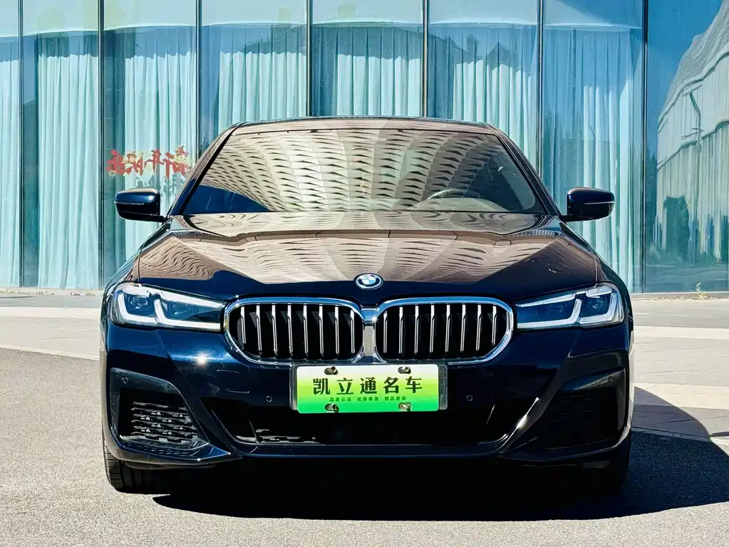 BMW 5 Series New Energy — фото 2