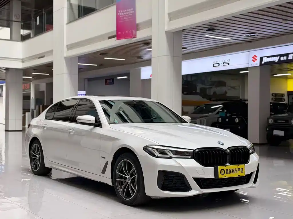 BMW 5 Series New Energy — фото 3