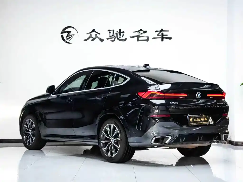 BMW X6 — фото 12