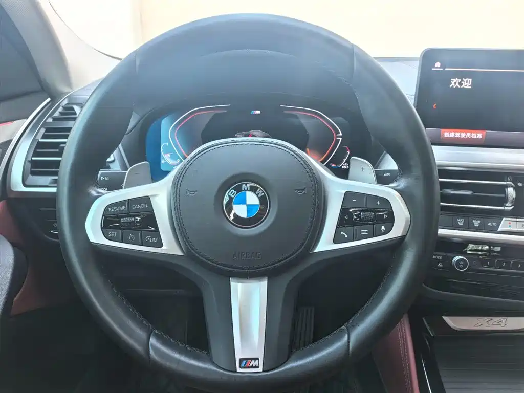 BMW X4 — фото 10