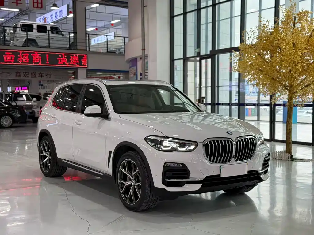 BMW X5 (Import) — фото 3