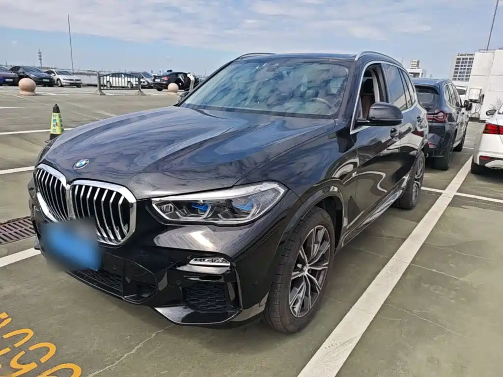 BMW X5 (Import) — фото 2